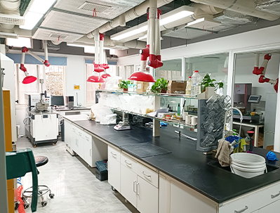 experimental environment